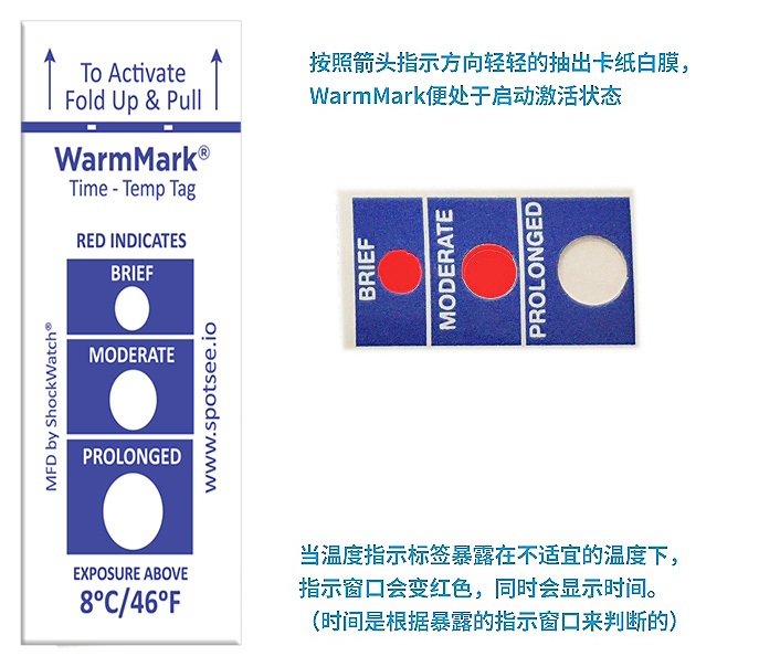 如何有效保证货物运输过程中的温度监测？