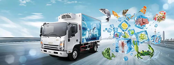 冷链运输中使用 WarmMark 温度标签的具体步骤